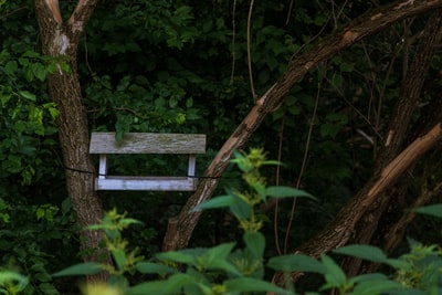 Leaves beside the brown wooden stools
